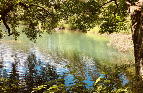 ブログ更新しました「心配な未来よりも、明るい未来を想う」