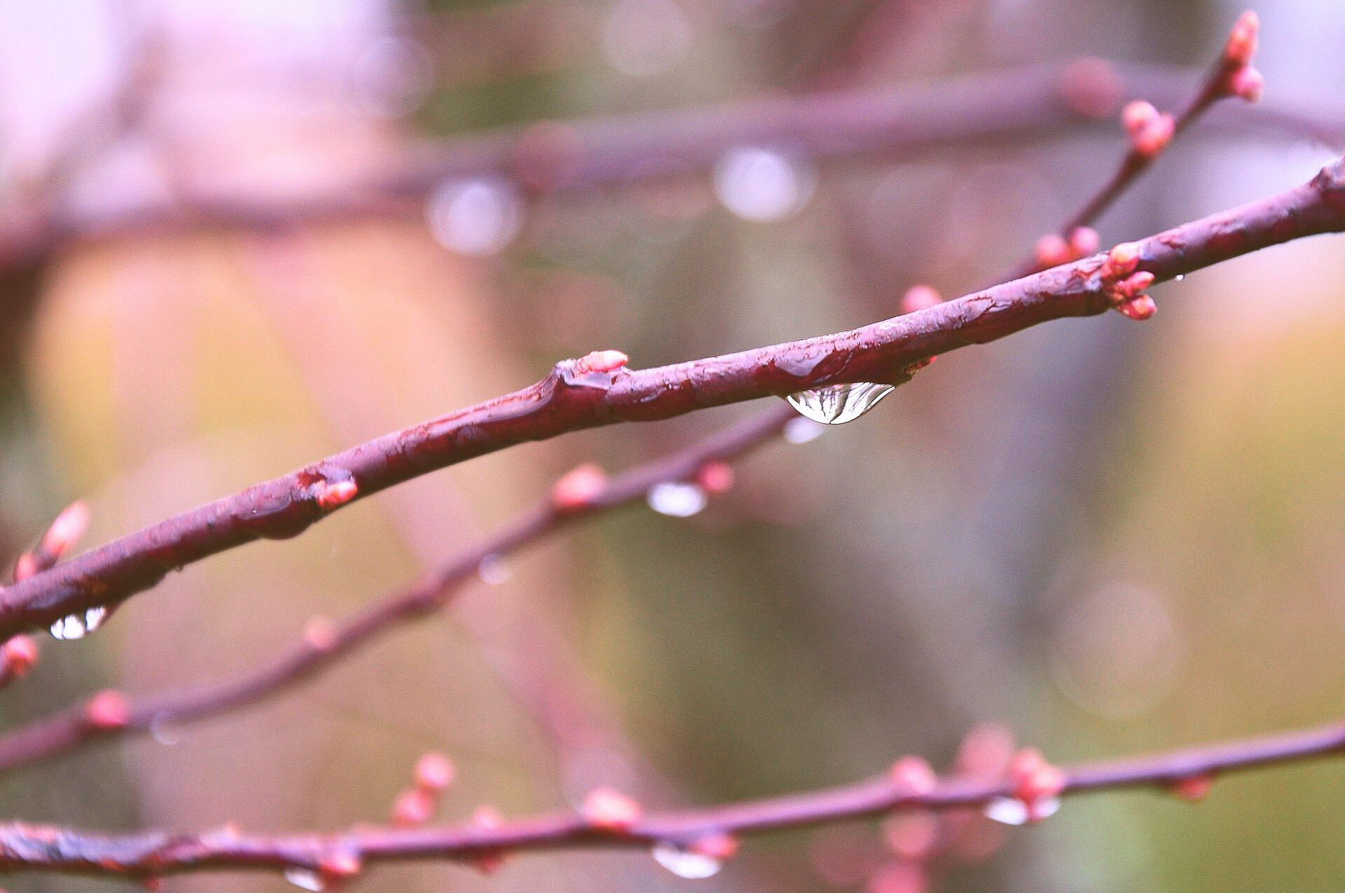 大切なお知らせ｜4月より、新しい環境での活動を迎えます