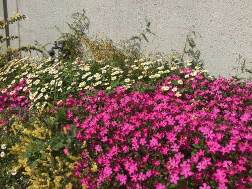 A8CC8938-D5CE-4873-A96D-D7465E6D18A1.jpeg