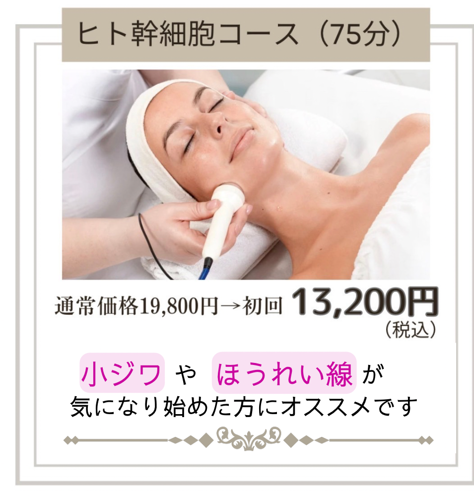 ▶︎ヒト幹細胞コース