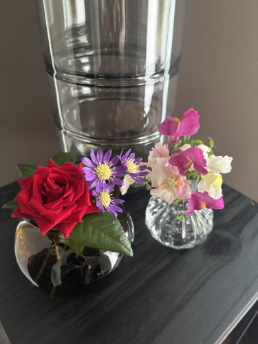 IMG_1963.jpeg