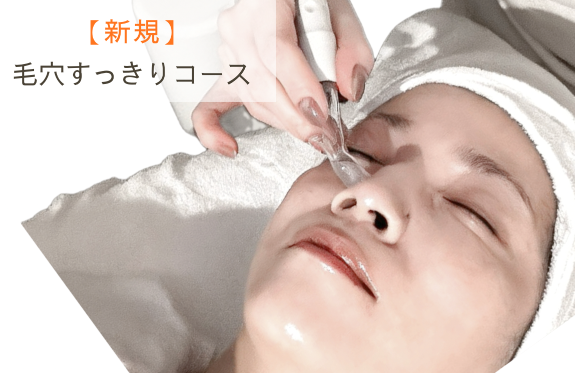 【毛穴人気No.1】毛穴すっきりコース