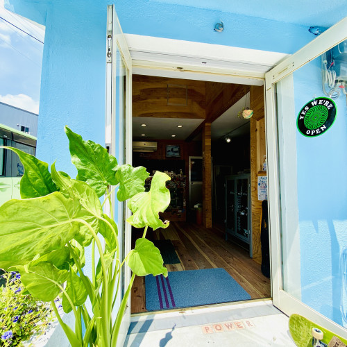 今年もよろしくお願いします