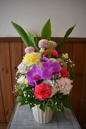 DSC_3048.JPG