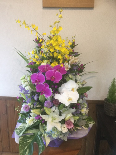 D361909B-7FB3-4A55-8FA2-2E27035F2CE0.jpeg