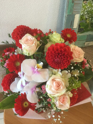 EA78F39F-B1FC-4E84-AE9F-851BFC683172.jpeg