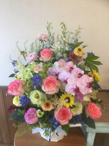 DB295021-2FF2-42E1-82A2-30C07E36E875.jpeg