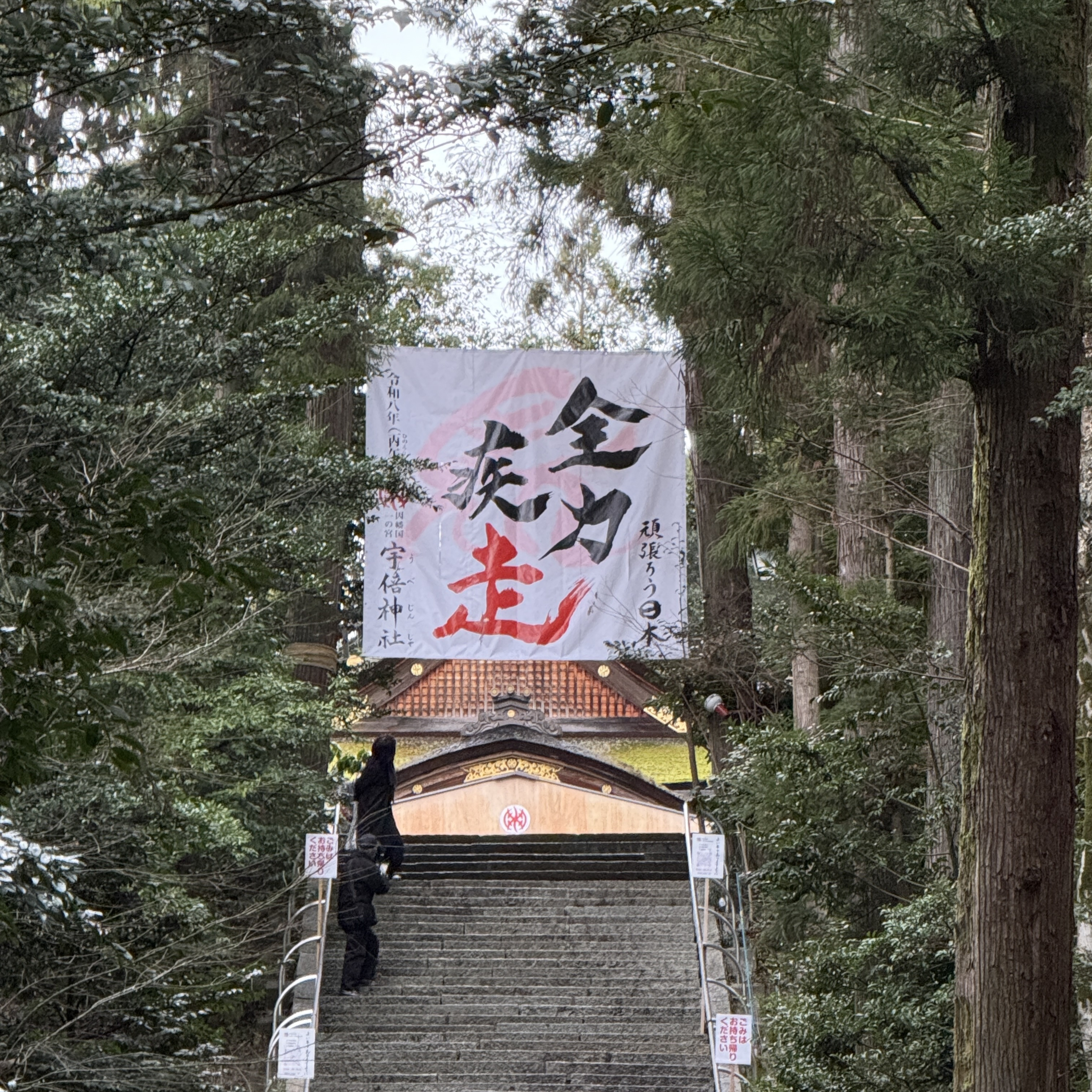 本年もよろしくお願い致します。