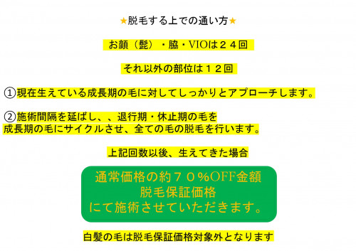 脱毛説明用_page-0016.jpg