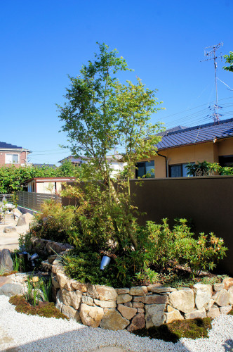 DSC09251a.jpg