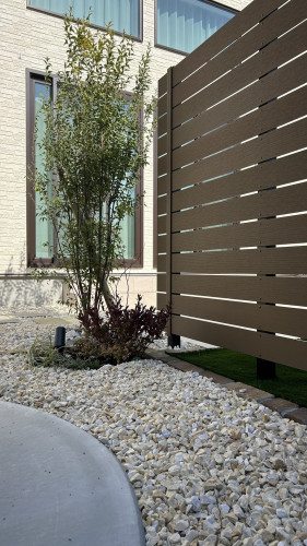 エクシスランド　キノメ