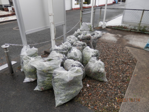 令和７年度（２０２５年）　集会所　大掃除！！