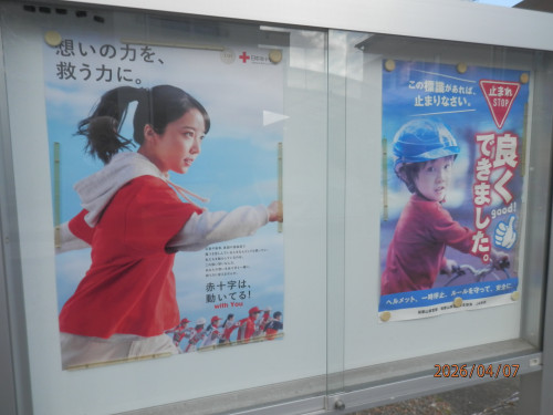 掲示板の更新！！