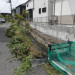 P4190625.JPG