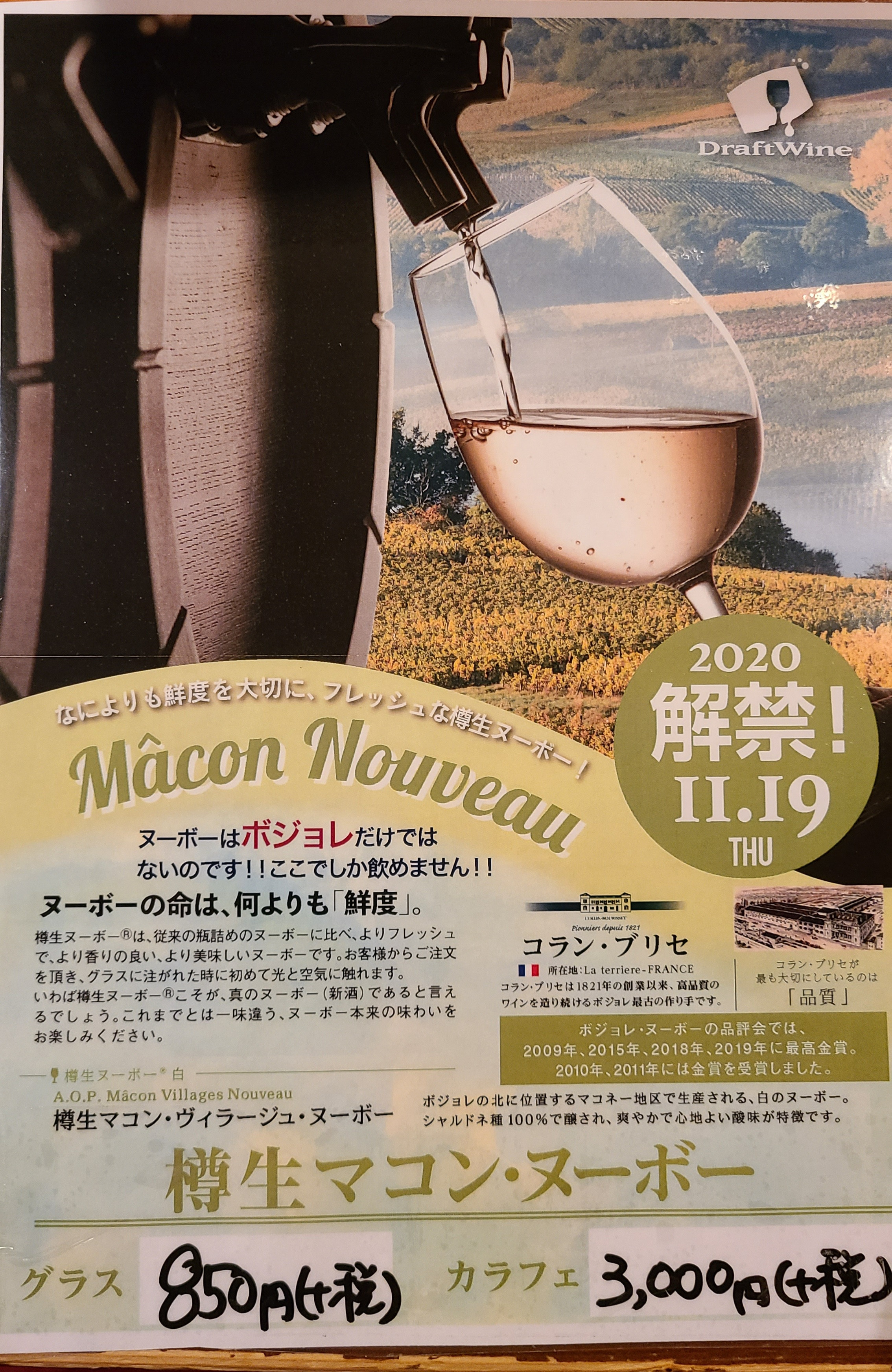 今年もマコン・ヴィラージュ・ヌーボーの樽生ワイン解禁いたします🍸✨🍸
