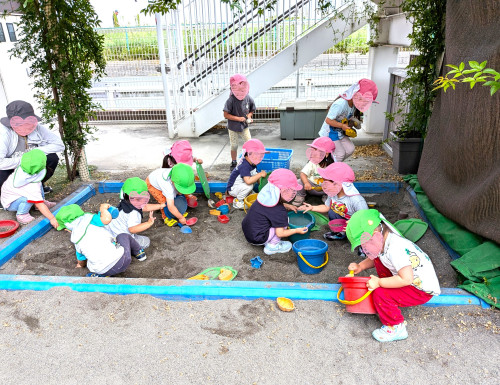 12.jpg