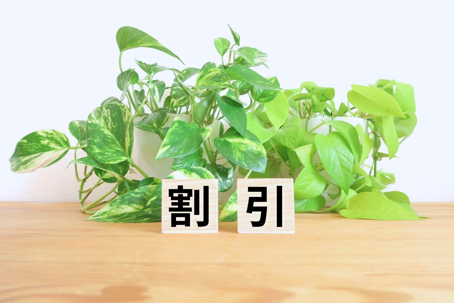 カップルで申し込む際に確認しておきたいこと