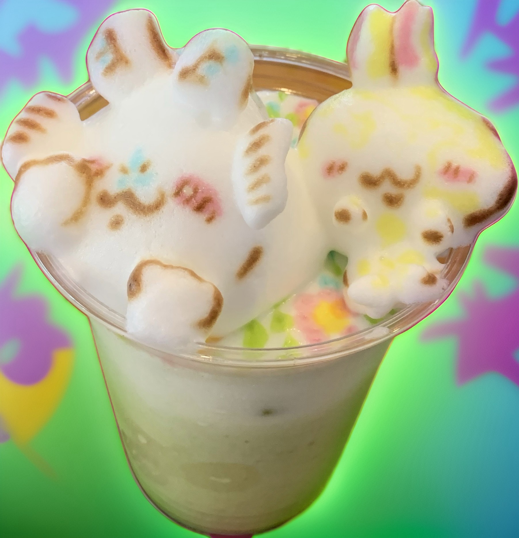 お休み日
