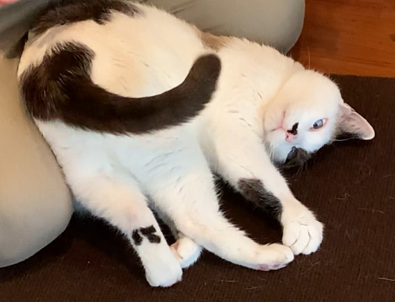 お休み日