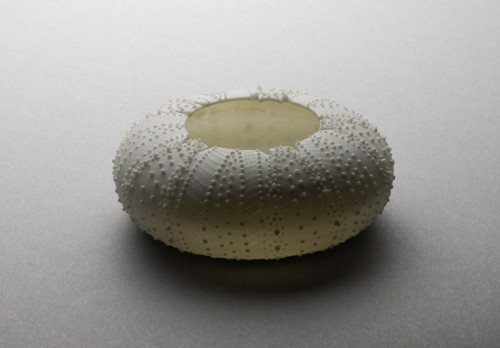 Reminiscense and Space：Sear urchin #9 translucent white  1%22hx2.5%22d(2.5x6.5cm).jpg