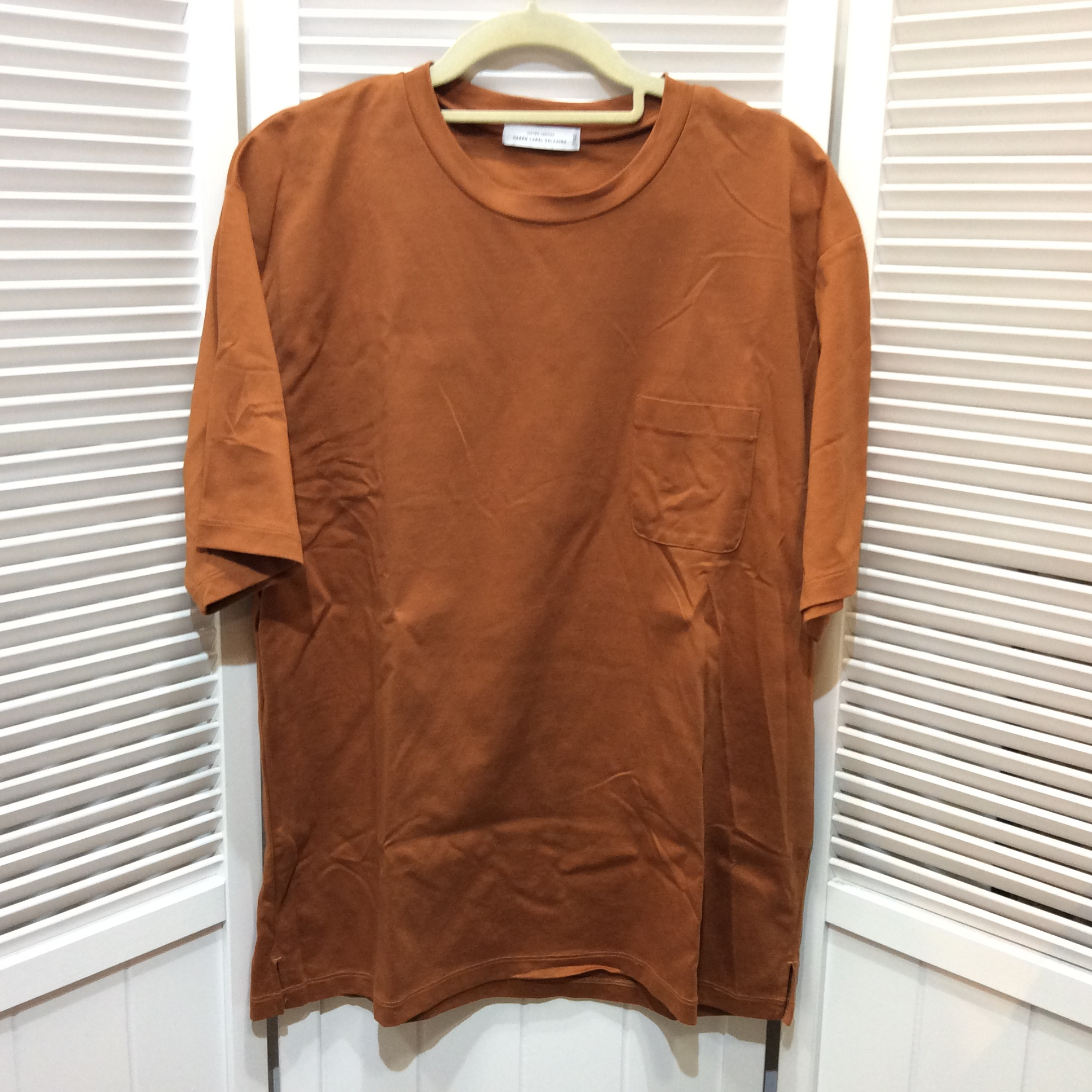 グリーンレーベル リラクシング ユナイテッドアローズ メンズ Tシャツ L ブラウン