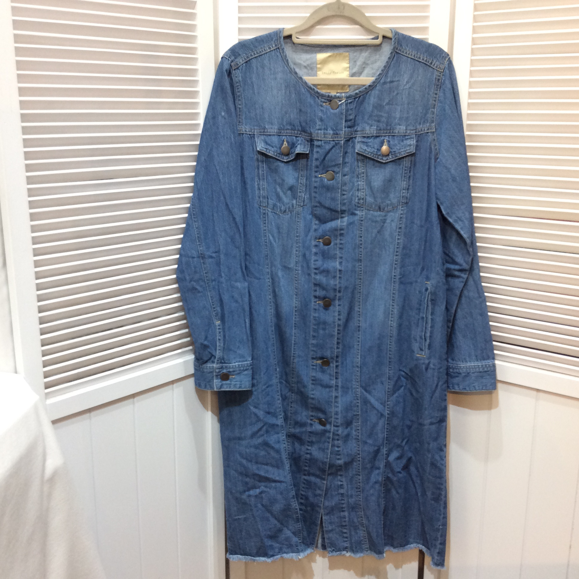 Daily Topics デニムワンピース L