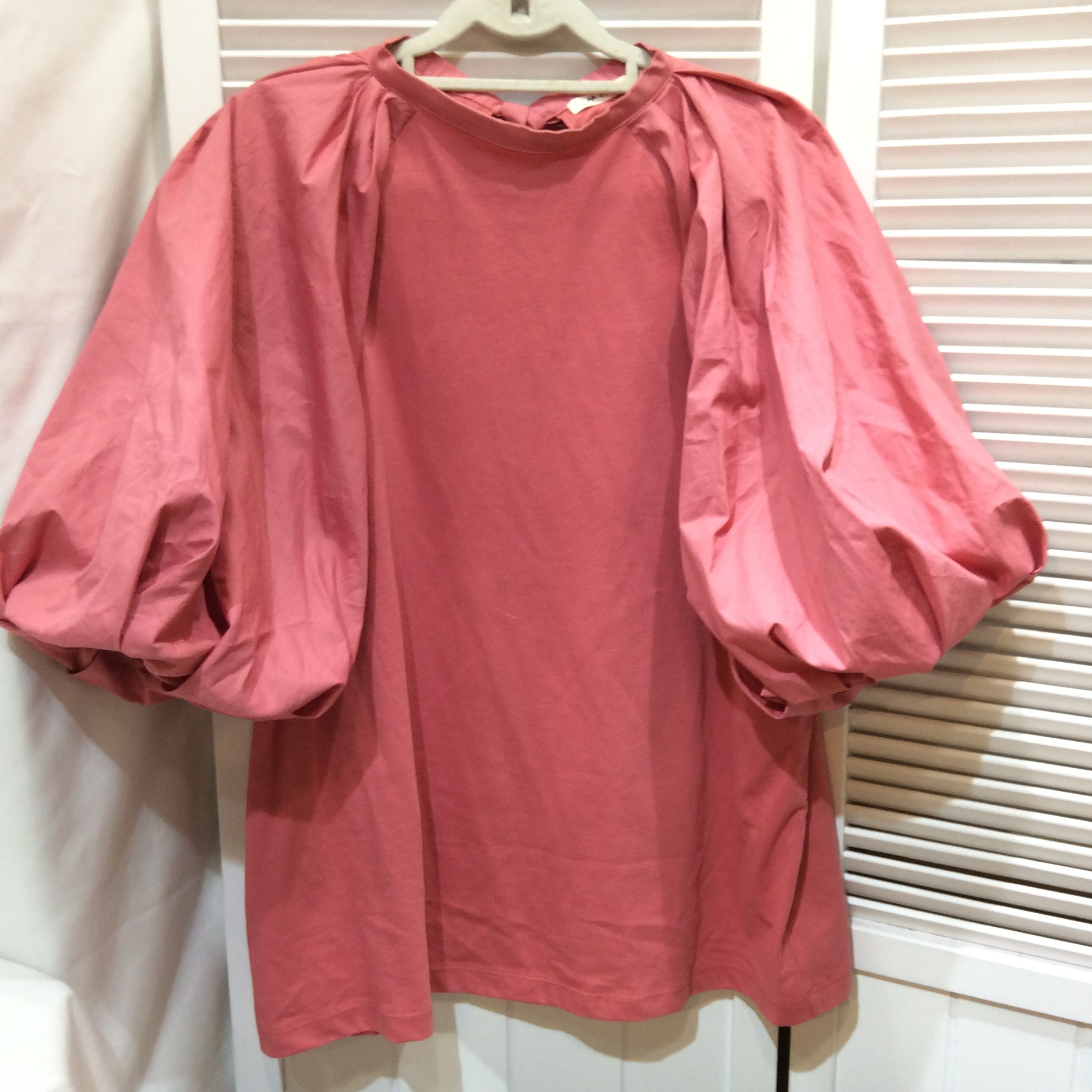 PUAL CE CIN ボリューム袖カットソー フリーサイズ   ピンク