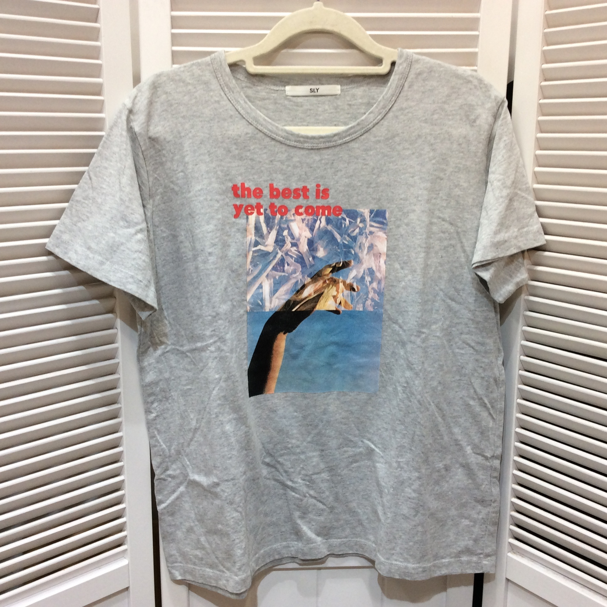 SLY スライ レディースTシャツ F グレー プリント柄