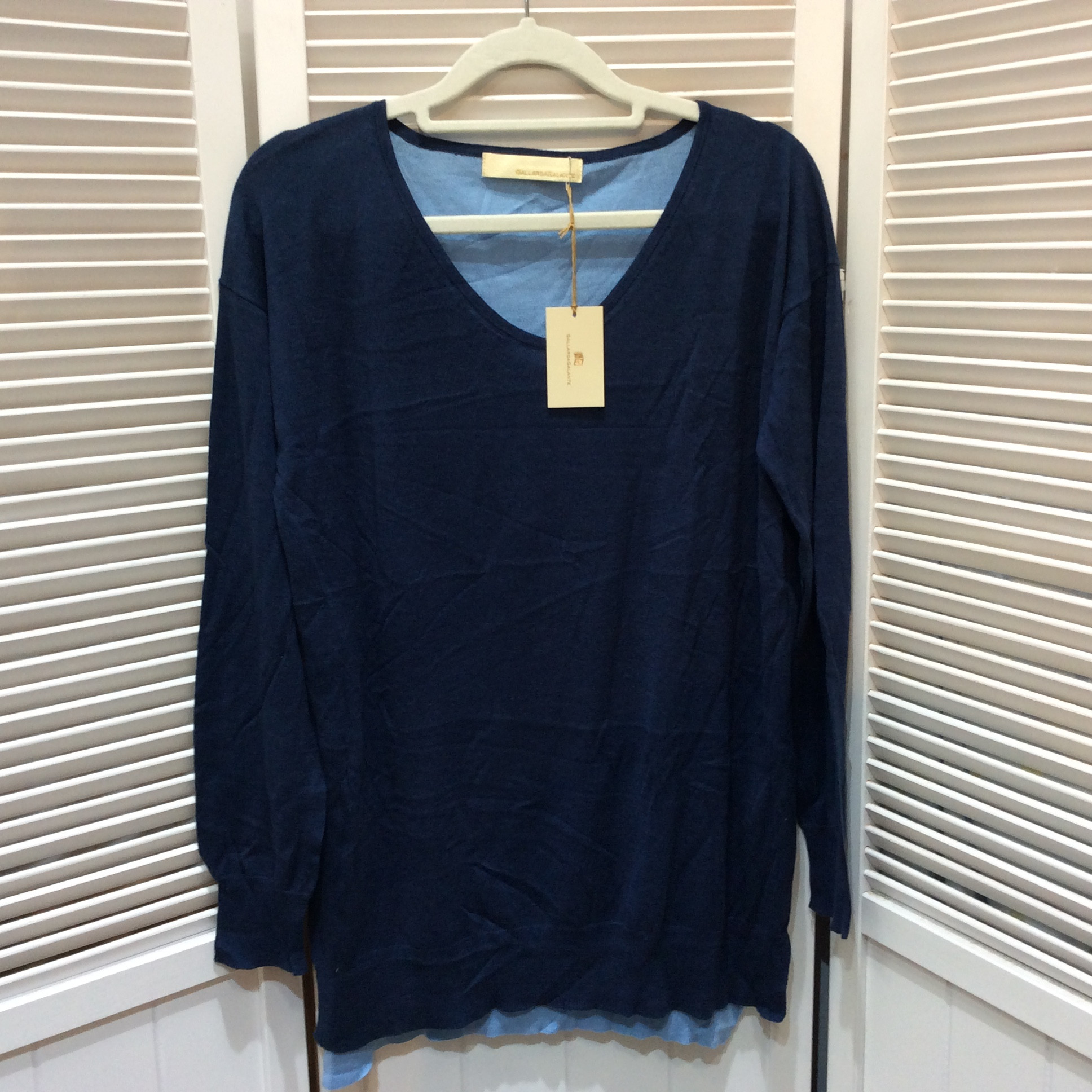 未使用☆GALLARDAGALANTE ガリャルダガランテ 長袖Vセーター F フリーサイズ ネイビー×ブルー