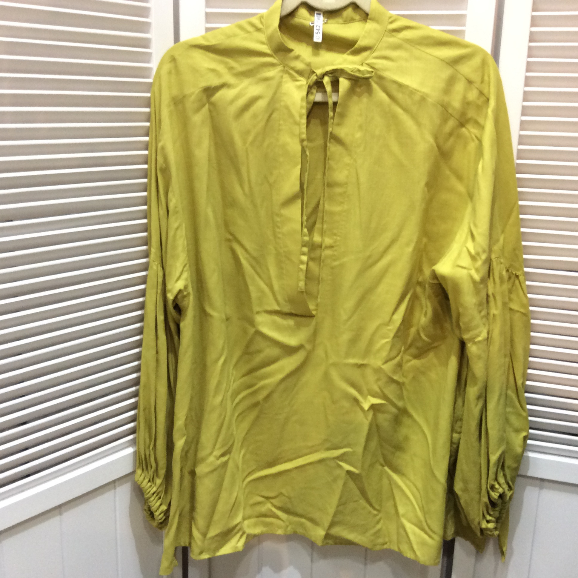 デザインブラウス  フリーサイズ   ピスタチオ色  美品