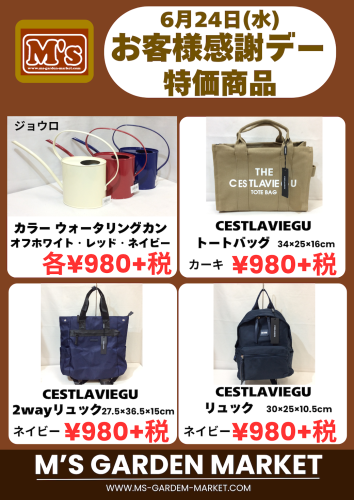 6月24日(水)特価品