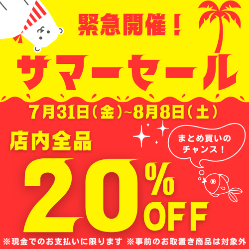 サマーセール開催中です！