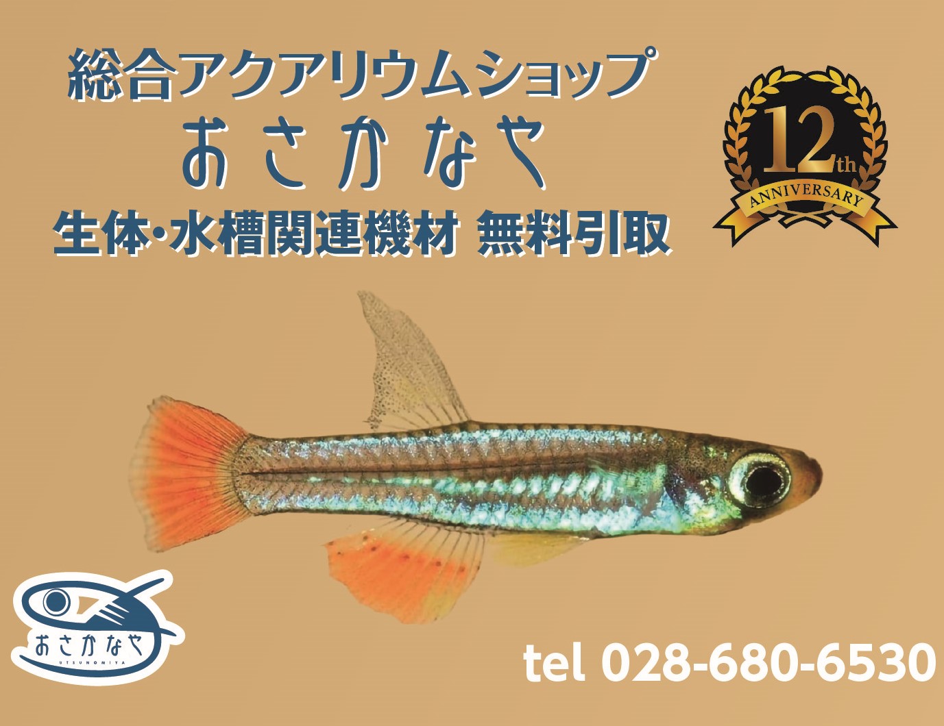 【 12周年 】