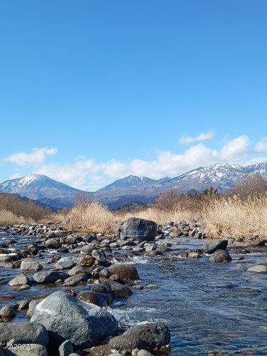 【 栃木県日光市　大谷川 2026.1 】