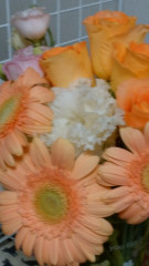 花画像２.jpg