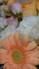 花画像３.jpg