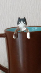 猫マグカップ写真大.jpg