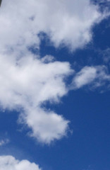 青空写真.jpg