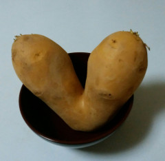 ハート芋写真.jpg
