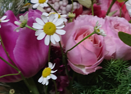 _20231229_151949.JPG