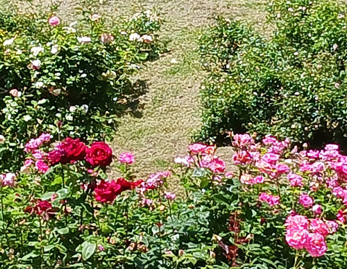 20240529_174121.jpg