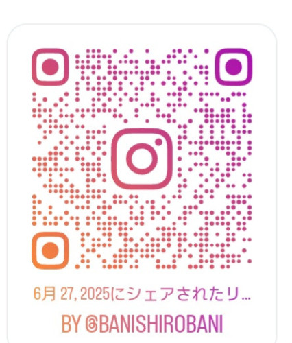 Screenshot_20250627_224311_Instagram.jpg