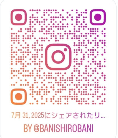 Screenshot_20250805_204108_Instagram.jpg