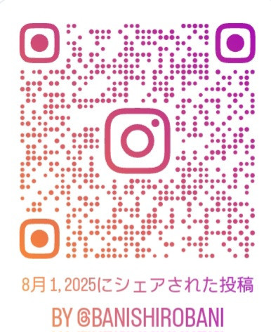 Screenshot_20250805_204019_Instagram.jpg