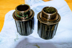PXL_20250919_030317584~2.jpg