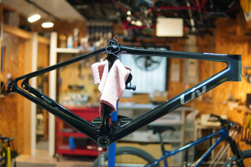 Liv オーバーホール