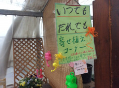 寄せ植えコーナー設置