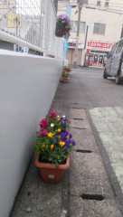 今朝は寄せ植えプランターのお届け