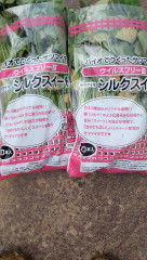 野菜苗出揃ました🍆🍅🍉🍈