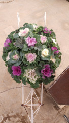 初冬の寄せ植え